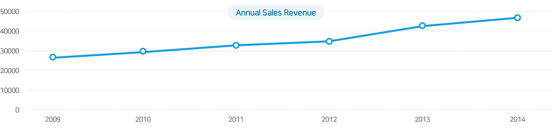 Annual Sales Revenue